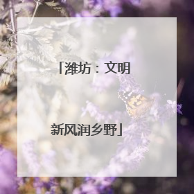 潍坊：文明新风润乡野