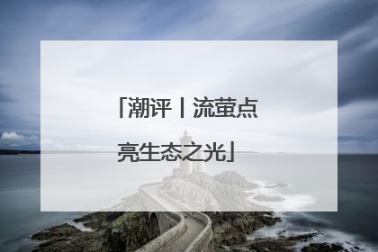 潮评丨流萤点亮生态之光