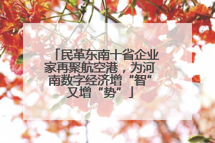 民革东南十省企业家再聚航空港，为河南数字经济增“智”又增“势”
