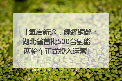 氢启新途，绿耀铜都：湖北省首批500台氢能两轮车正式投入运营