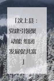 汶上县：党建引领聚动能 组团发展促共富