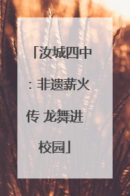 汝城四中：非遗薪火传 龙舞进校园