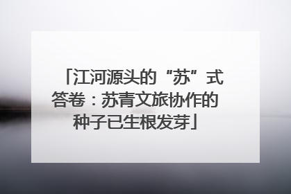 江河源头的“苏”式答卷：苏青文旅协作的种子已生根发芽