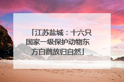 江苏盐城：十六只国家一级保护动物东方白鹳放归自然