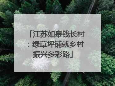 江苏如皋钱长村：绿草坪铺就乡村振兴多彩路