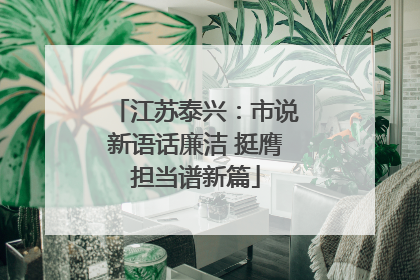 江苏泰兴：市说新语话廉洁 挺膺担当谱新篇