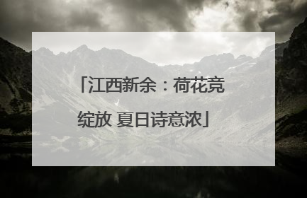 江西新余：荷花竞绽放 夏日诗意浓