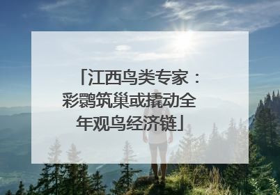 江西鸟类专家：彩鹮筑巢或撬动全年观鸟经济链
