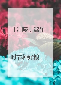 江陵：端午时节种好粮