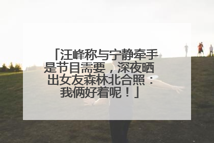 汪峰称与宁静牵手是节目需要，深夜晒出女友森林北合照：我俩好着呢！