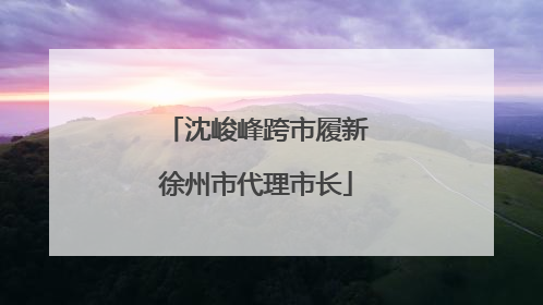 沈峻峰跨市履新徐州市代理市长