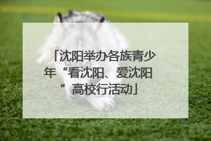 沈阳举办各族青少年“看沈阳、爱沈阳”高校行活动