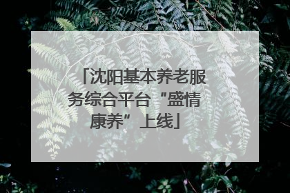 沈阳基本养老服务综合平台“盛情康养”上线