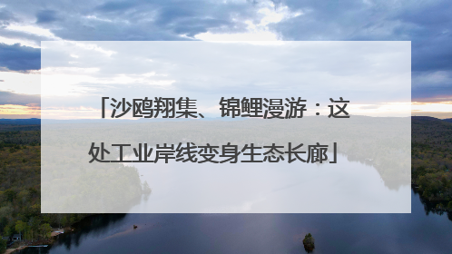 沙鸥翔集、锦鲤漫游：这处工业岸线变身生态长廊