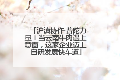 沪滇协作·普陀力量〡当云南牛肉遇上意面，这家企业迈上自研发展快车道