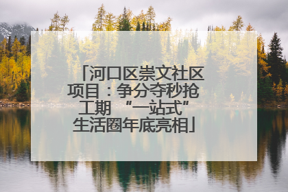 河口区崇文社区项目：争分夺秒抢工期 “一站式”生活圈年底亮相