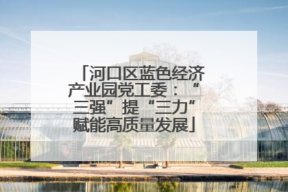 河口区蓝色经济产业园党工委：“三强”提“三力”赋能高质量发展