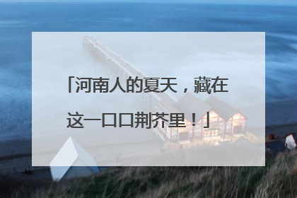 河南人的夏天，藏在这一口口荆芥里！
