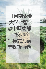 河南农业大学“智”献中原菜都 “校地企”模式共绘丰收新画卷