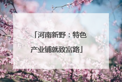 河南新野：特色产业铺就致富路