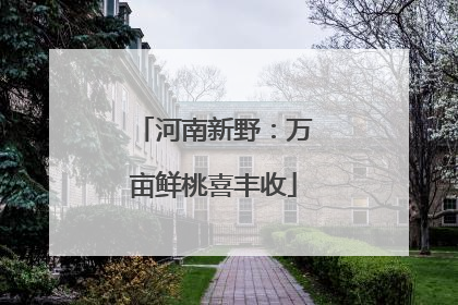 河南新野：万亩鲜桃喜丰收