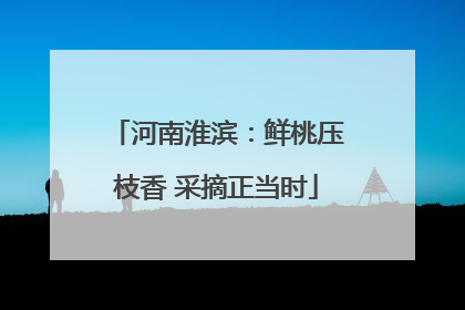 河南淮滨：鲜桃压枝香 采摘正当时