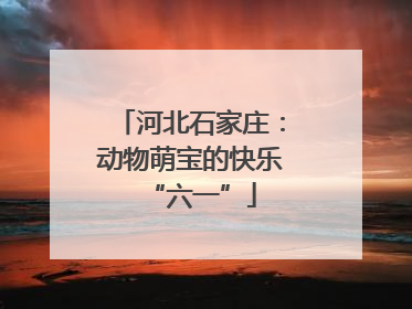 河北石家庄：动物萌宝的快乐“六一”