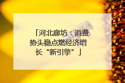 河北廊坊：消费势头稳点燃经济增长“新引擎”