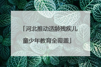 河北推动适龄残疾儿童少年教育全覆盖