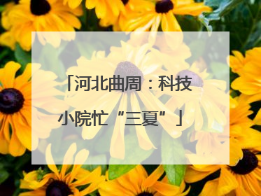 河北曲周：科技小院忙“三夏”