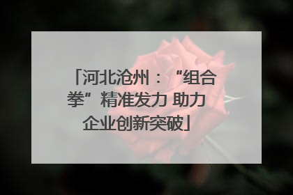 河北沧州：“组合拳”精准发力 助力企业创新突破