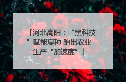 河北高阳：“黑科技”赋能夏种 跑出农业生产“加速度”