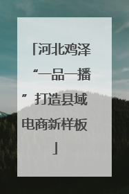 河北鸡泽“一品一播”打造县域电商新样板