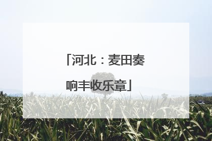 河北：麦田奏响丰收乐章