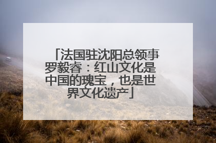 法国驻沈阳总领事罗毅睿：红山文化是中国的瑰宝，也是世界文化遗产