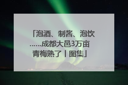 泡酒、制酱、泡饮……成都大邑3万亩青梅熟了丨图集