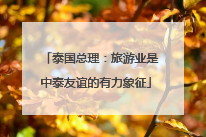 泰国总理：旅游业是中泰友谊的有力象征