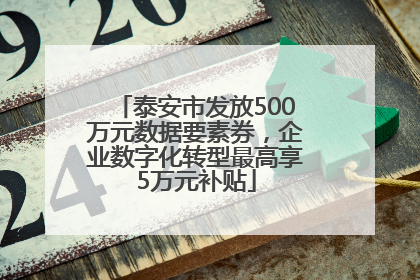 泰安市发放500万元数据要素券，企业数字化转型最高享5万元补贴