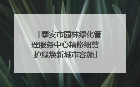 泰安市园林绿化管理服务中心精修细剪护绿焕新城市容颜