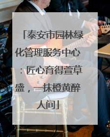 泰安市园林绿化管理服务中心：匠心育得萱草盛，一抹橙黄醉人间