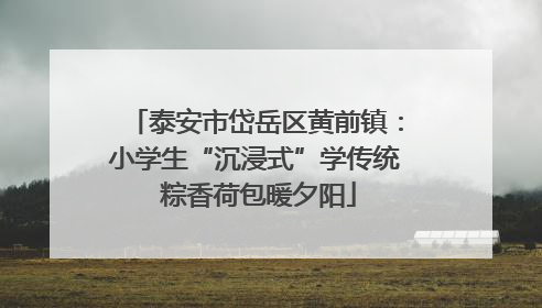 泰安市岱岳区黄前镇：小学生“沉浸式”学传统 粽香荷包暖夕阳