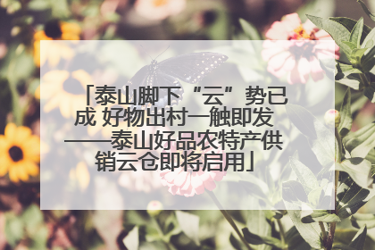 泰山脚下“云”势已成 好物出村一触即发——泰山好品农特产供销云仓即将启用