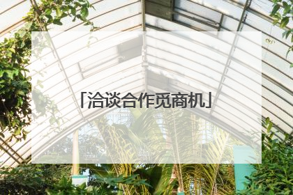 洽谈合作觅商机