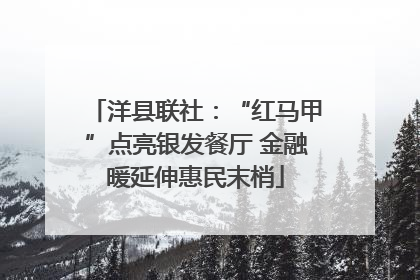 洋县联社：“红马甲”点亮银发餐厅 金融暖延伸惠民末梢
