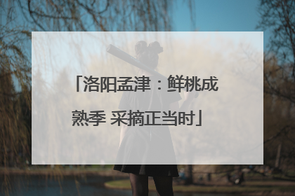 洛阳孟津：鲜桃成熟季 采摘正当时