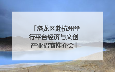 洛龙区赴杭州举行平台经济与文创产业招商推介会