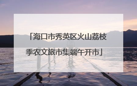 海口市秀英区火山荔枝季农文旅市集端午开市