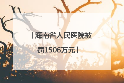海南省人民医院被罚1506万元