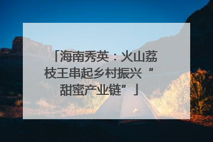 海南秀英：火山荔枝王串起乡村振兴“甜蜜产业链”