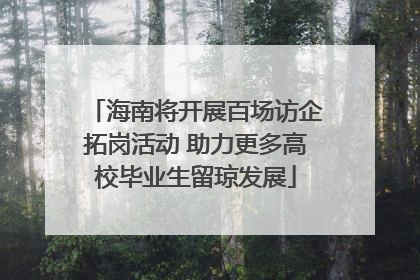 海南将开展百场访企拓岗活动 助力更多高校毕业生留琼发展
